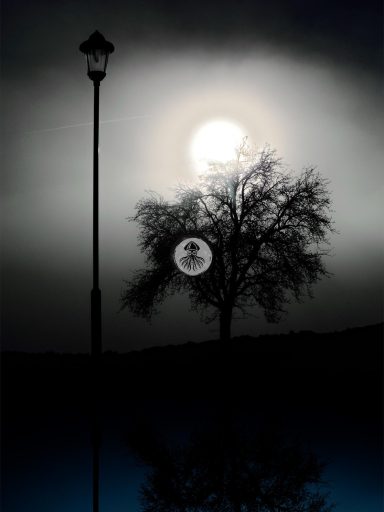 Anderswelt - Obsidian 2017 WEB Die Mittagssonne steht über einem schwarzen Baum, doch es wirkt als wäre es Vollmond weil der Nebel so stark und das Bild so düster ist.